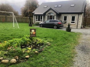 Donegal's Heart